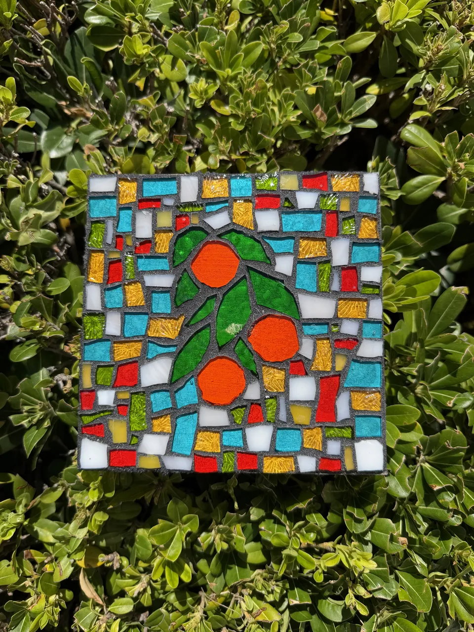 Oranges